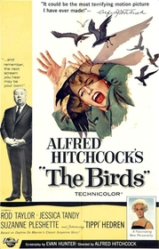 Birds poster Birds poster
