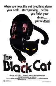 Black Cat 1981 poster Black Cat 1981 poster