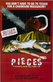Pieces poster Pieces poster